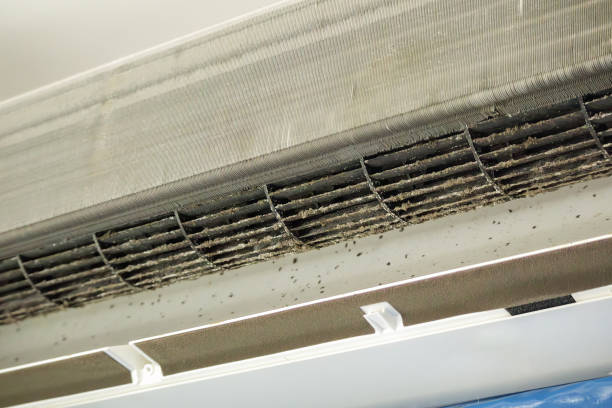 Best Local Air Duct Cleaning Services  in Franklin, WI
